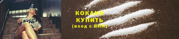 прущие грибы Арсеньев