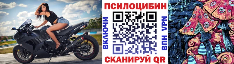 KRAKEN зеркало  наркота  Магадан  Галлюциногенные грибы мухоморы 